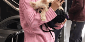 The Dog Wasn’t the Problem — The Owner Was. So I Took Matters into My Own Hands at the Gate